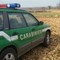 Approvato l'accordo tra Regione Puglia e Carabinieri Forestali per la tutela ambientale
