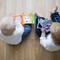 Buoni educativi 0-3 anni, al via le domande per l’anno educativo 2026/2027