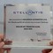 Maldarizzi Automotive tra i Best 100 Quality Dealers Europe 2025: l’eccellenza italiana secondo Stellantis