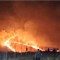 Fiamme sull’Alta Murgia, 500 ettari bruciati: Vigili del Fuoco al lavoro da ore