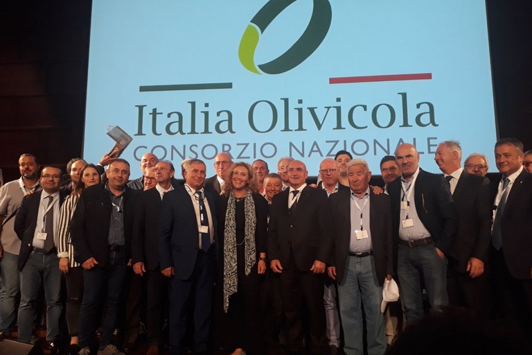 Italia Olivicola