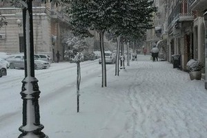 neve a Spinazzola