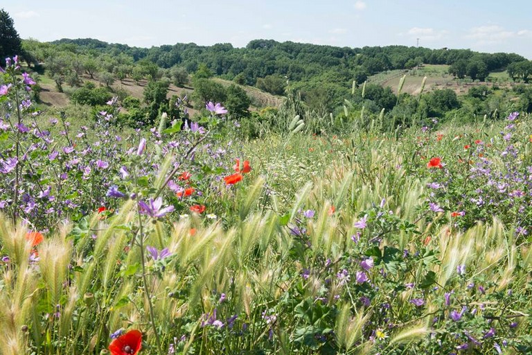 In cammino nei parchi