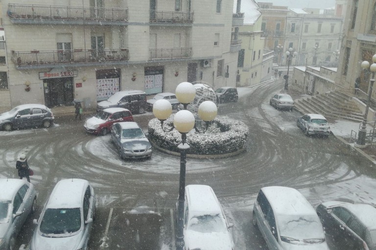 Neve Spinazzola